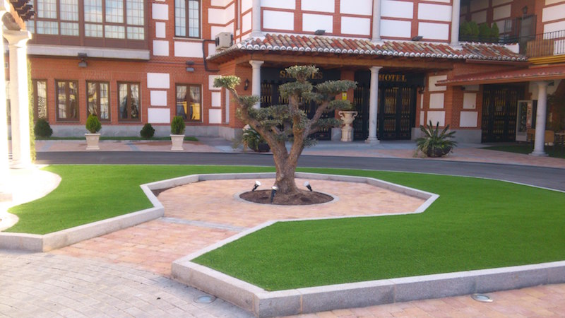 capri_onlygrass_5